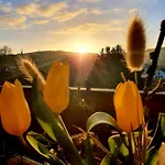 2 Domizil Am Suedhang Mit Terrasse Und Pool דירה *