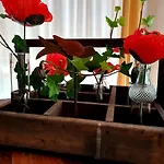 דירה 2 Domizil Am Suedhang Mit Terrasse Und Pool *