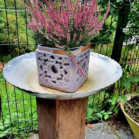 2 Domizil Am Suedhang Mit Terrasse Und Pool Апартаменты