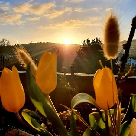 2 Domizil Am Suedhang Mit Terrasse Und Pool Lejlighed *