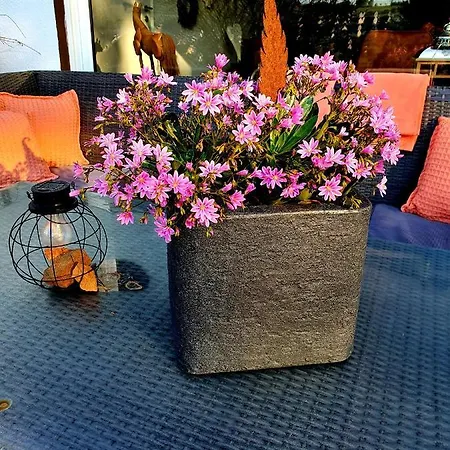 Апартаменты 2 Domizil Am Suedhang Mit Terrasse Und Pool