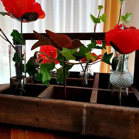 Lejlighed 2 Domizil Am Suedhang Mit Terrasse Und Pool *