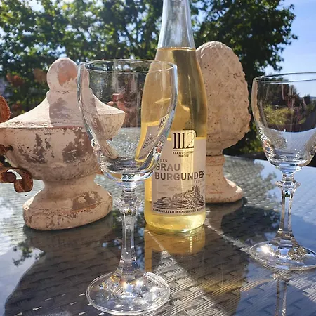 2 Domizil Am Suedhang Mit Terrasse Und Pool * Ortenberg (Hessen)